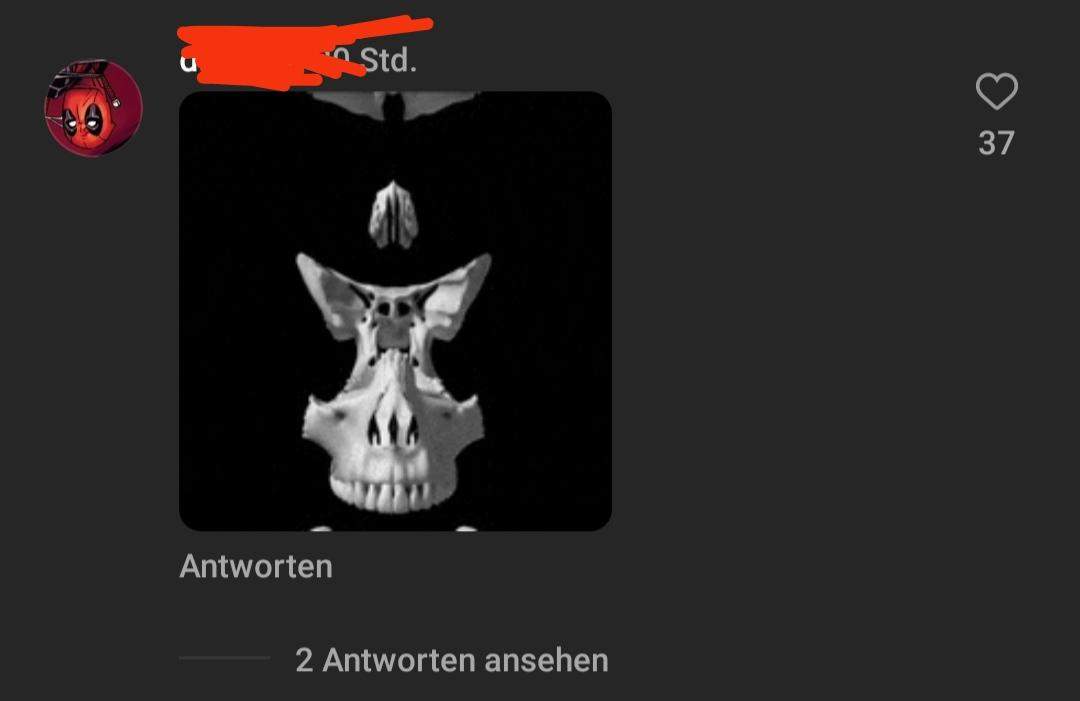 Neue Insta Funktion? (Instagram, Kommentare)