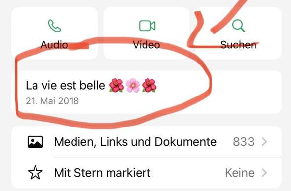 Bild zum Beitrag