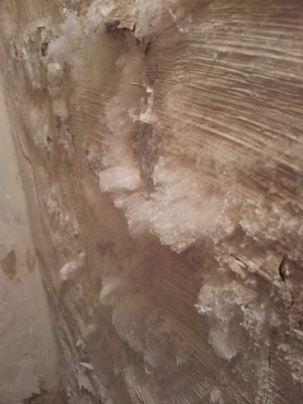 Neue Wohnung? Schimmel im Keller oder was ist das? (Feuchtigkeit, Kristall)