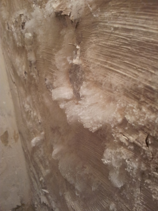 Neue Wohnung? Schimmel im Keller oder was ist das? (Feuchtigkeit, Kristall)