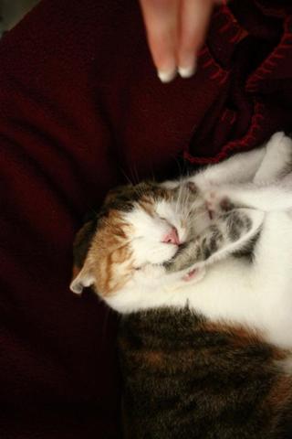 Ich wollte sie fragen Ich wollte sie fragen