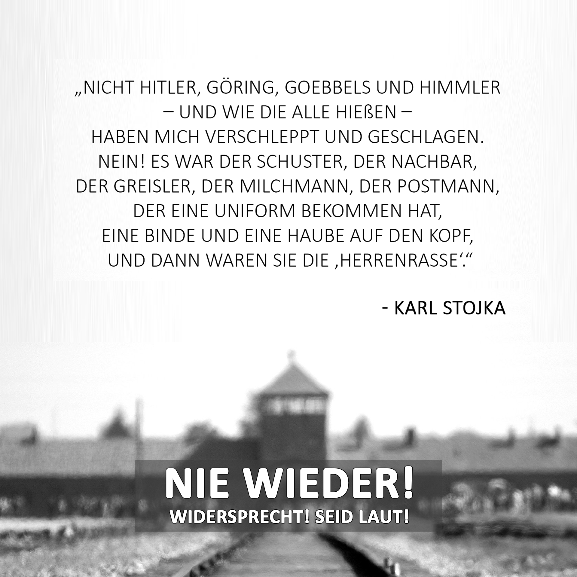 Nie wieder ist jetzt Afd? (Recht, Politik, Deutschland)