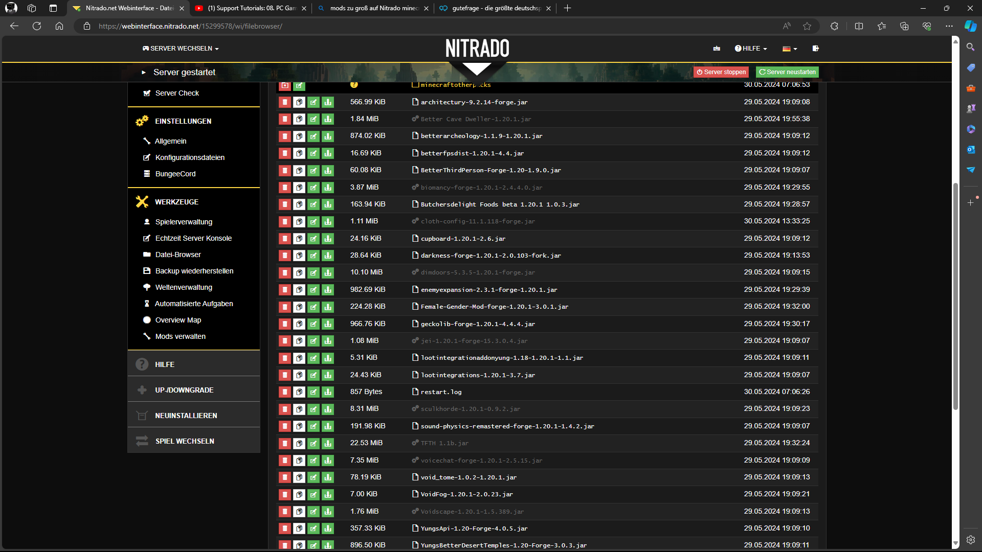 Nitrado Minecraft Server mods funktionieren nicht? (PC, Nitrado server)