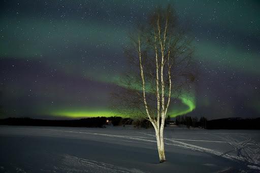 Nord Polarlichter Schweden Nordlichter