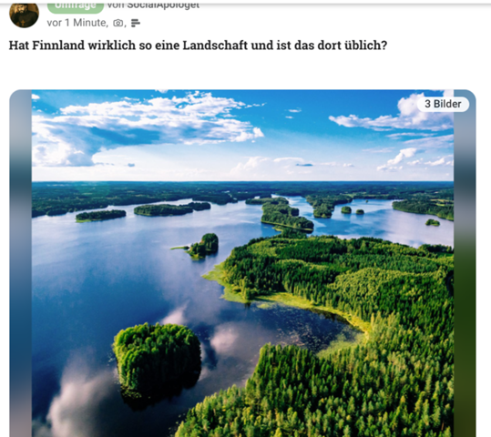 Bild zum Beitrag