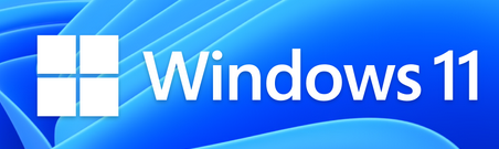 Nutzt ihr schon Windows 11?
