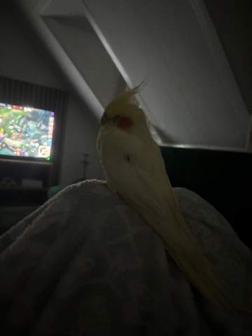 Bild zum Beitrag