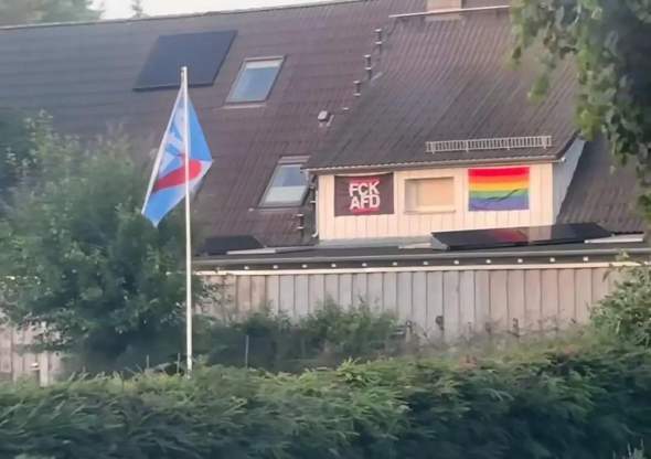 Bild zum Beitrag