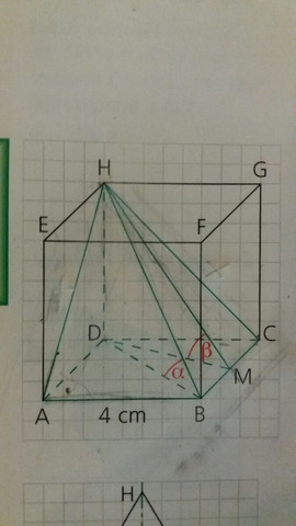 Bild der Pyramide - (Schule, Mathematik, Geometrie)