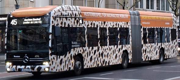 Bild zum Beitrag