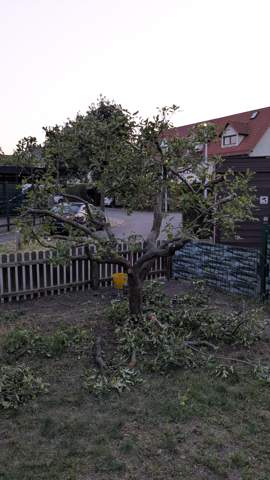 Bild zum Beitrag