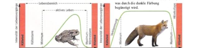 Ökologie, wechselwarme Tiere...? (Menschen, Biologie)