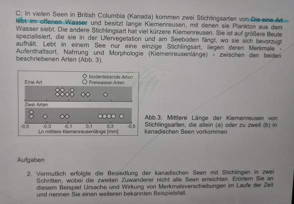 Bild zum Beitrag