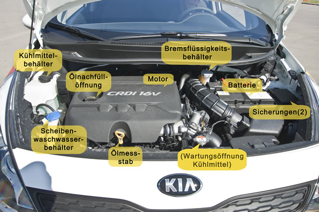 Öl unter der Motorhaube nachfüllen? (Technik, Auto, Führerschein)