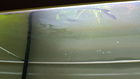 Ölfilm, Kahmhaut? (Aquarium)