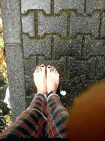 Bild zum Beitrag