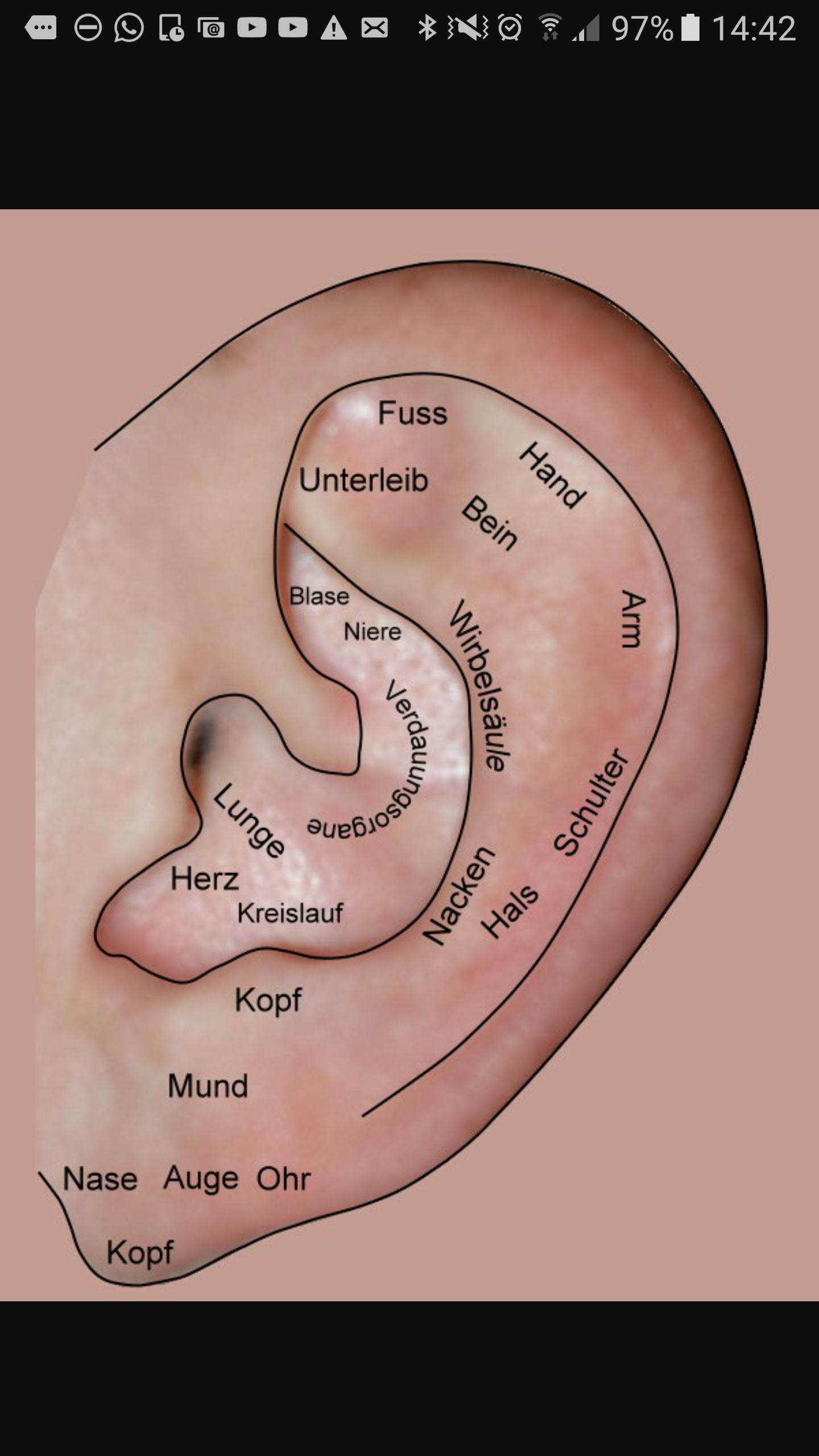 Ohr Schmerzen Was Kann Das Sein Gesundheit Korper Ohrenschmerzen Ohr Schmerzen Was Kann Das Sein Gesundheit Korper Ohrenschmerzen