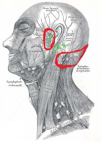Ohren Backe Und Hinterkopf Schlimme Schmerzen Arzt Krankheit Krankenhaus Ohren Backe Und Hinterkopf Schlimme Schmerzen Arzt Krankheit Krankenhaus