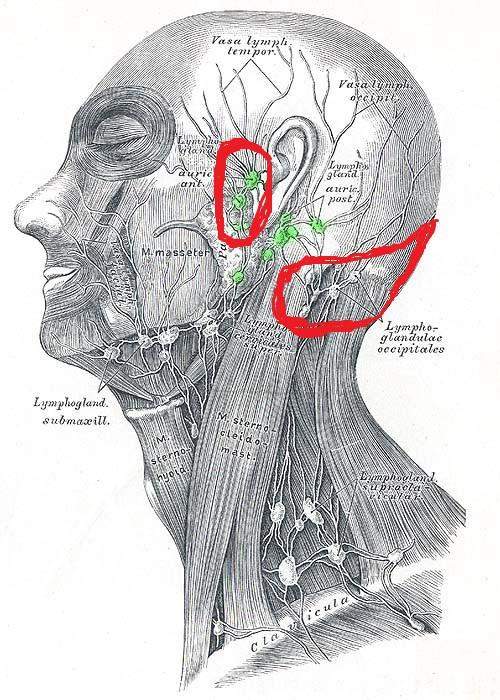 Ohren Backe Und Hinterkopf Schlimme Schmerzen Arzt Krankheit Krankenhaus Ohren Backe Und Hinterkopf Schlimme Schmerzen Arzt Krankheit Krankenhaus