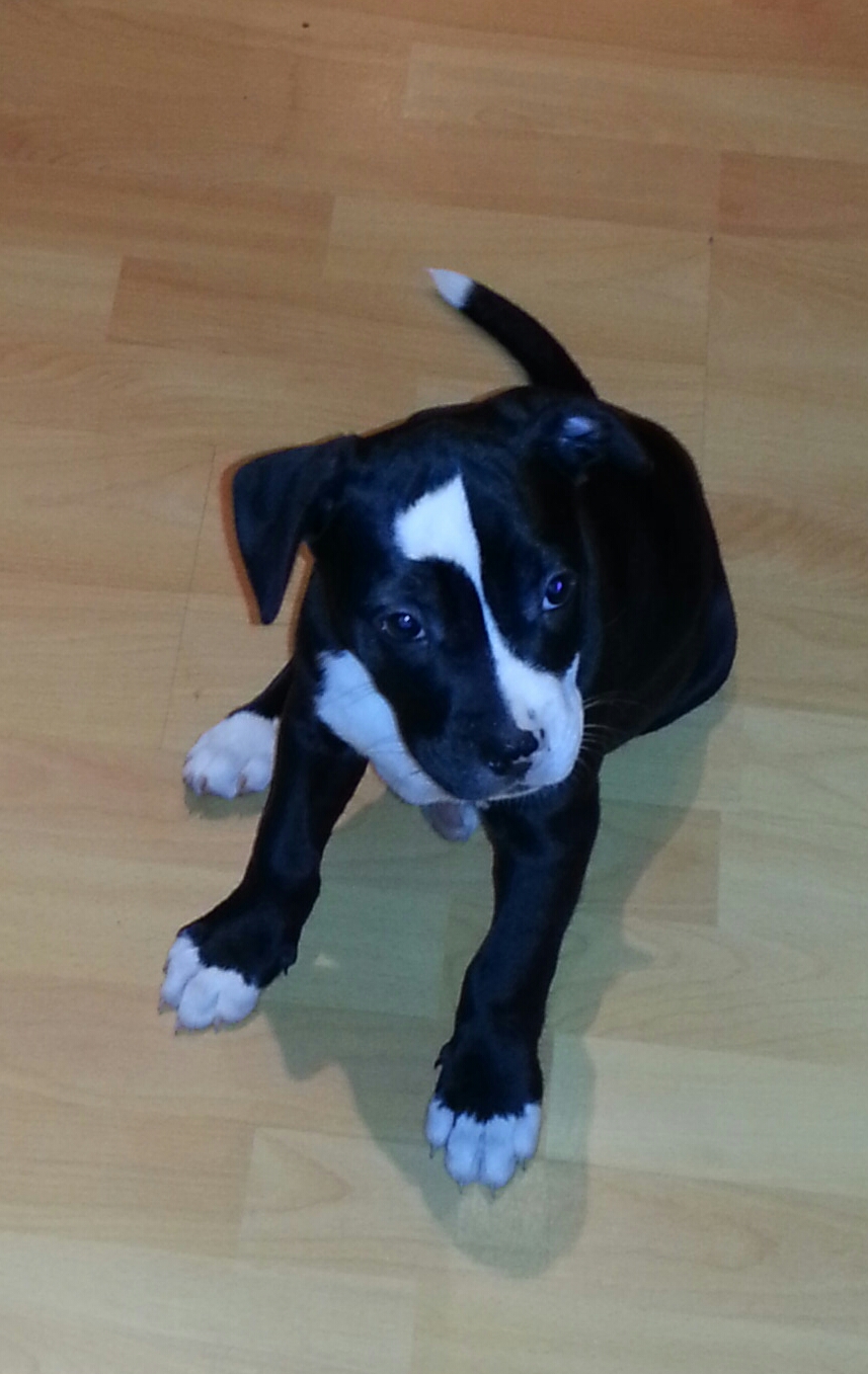 Kommt das in frage englisch Kommt das in frage englisch