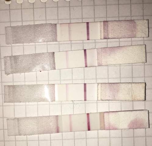 Orakel Experten Schwangerschaft Baby Test