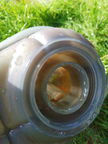 Orange Braune Ablagerungen im Kühlwasser behälter?