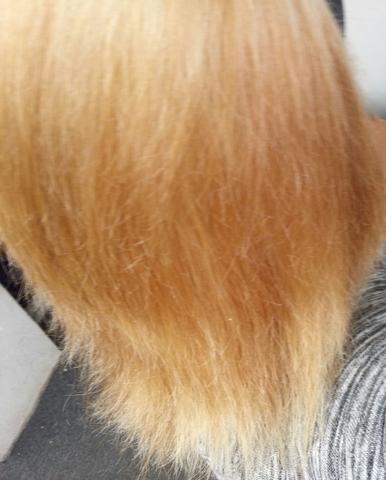 orange haare und wie jetzt weiter