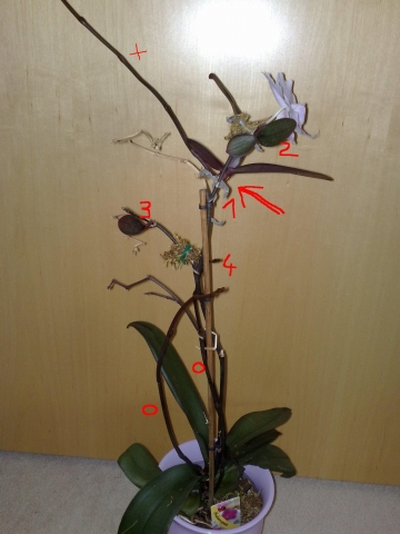 Online rätsel Online rätsel