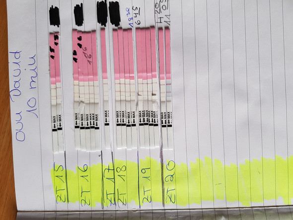 Ovu Test Wer Hat Davon Ahnung Schwangerschaft Ovu Test Wer Hat Davon Ahnung Schwangerschaft