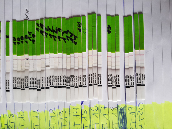 Ovu Test Wer Hat Davon Ahnung Schwangerschaft Ovu Test Wer Hat Davon Ahnung Schwangerschaft