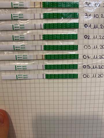 Ovulationstest Eisprung Positiv Schwangerschaft Ovulationstest Eisprung Positiv Schwangerschaft