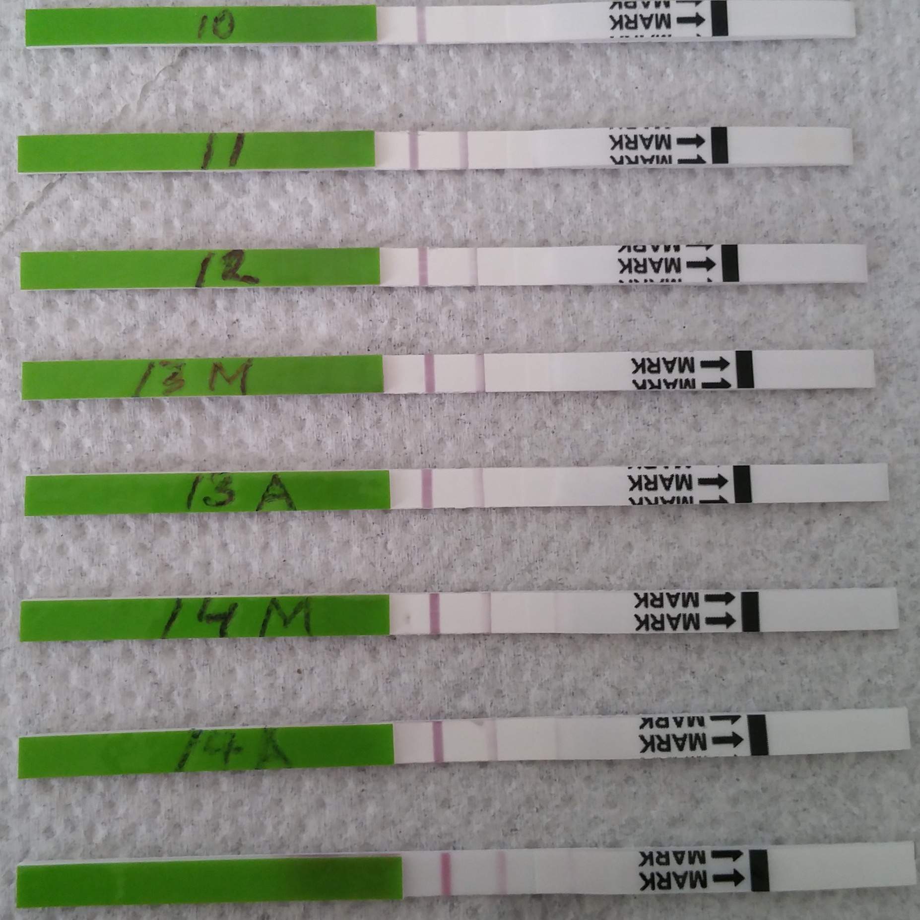 Ovulationstest Kennt das jemand ? (Schwangerschaft, Kinderwunsch) 10 tage nach gv schwangerschaftstest