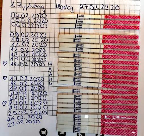 Ovulationstest Orakeln Kinder Schwangerschaft Kinderwunsch Schwangerschaft Ovulationstest Orakeln Kinder Schwangerschaft Kinderwunsch Schwangerschaft