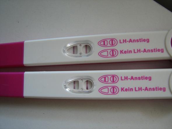 Ovulationstest Seit 2 Tagen Positiv Ovulationstest Seit 2 Tagen Positiv