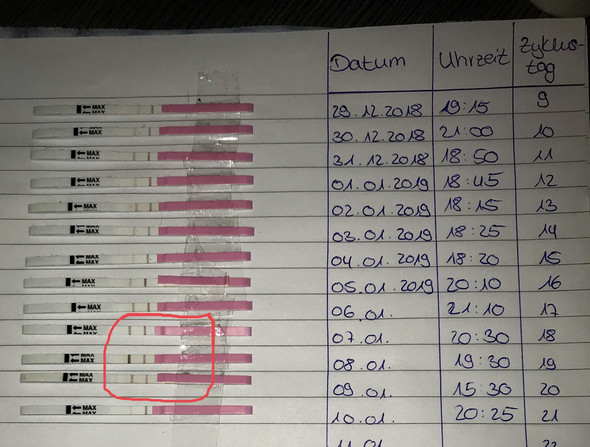 Ovulationstest Wann Der Eisprung Schwanger Babywunsch Ovulationstests Ovulationstest Wann Der Eisprung Schwanger Babywunsch Ovulationstests