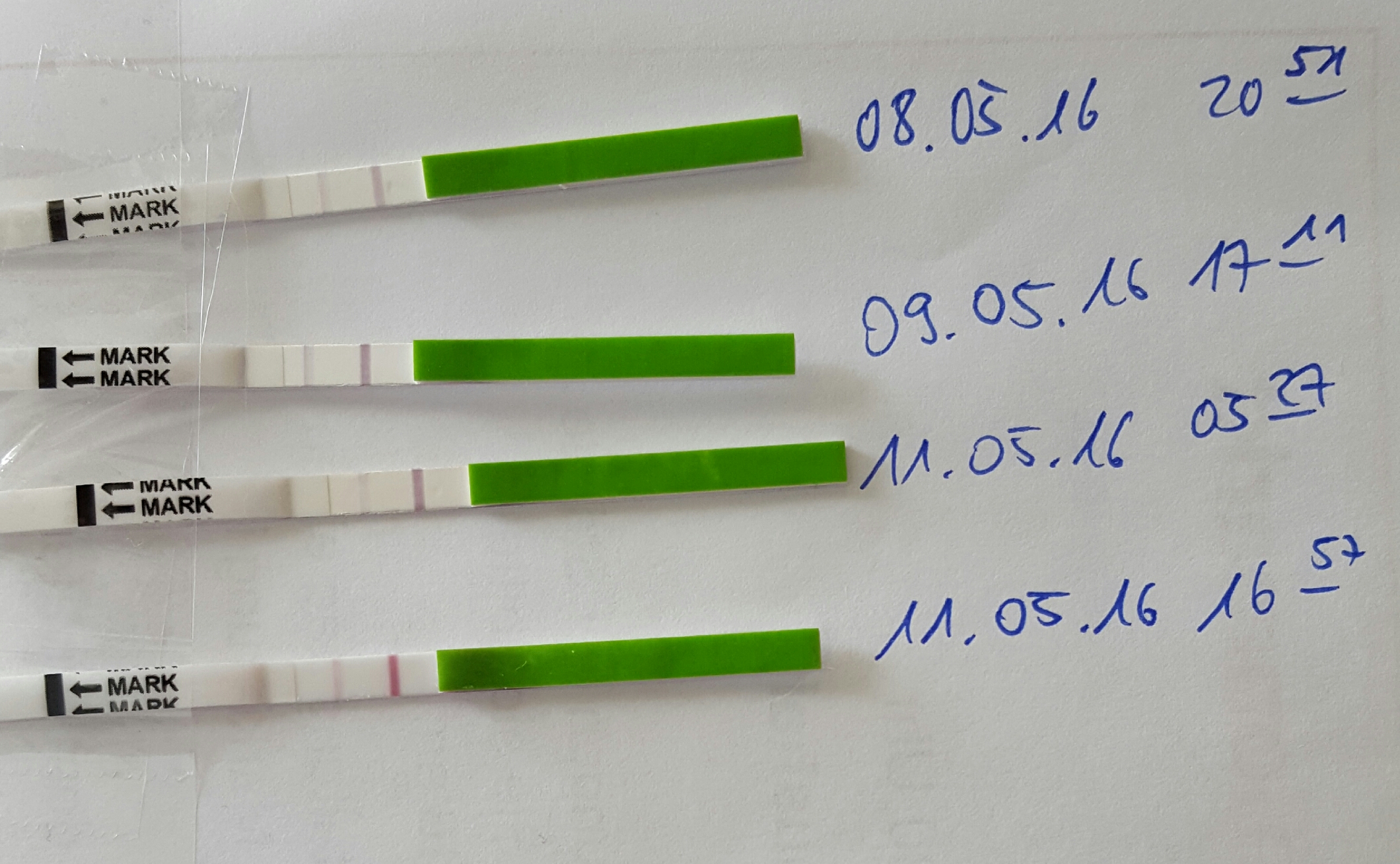 Diesen monat kein eisprung Diesen monat kein eisprung