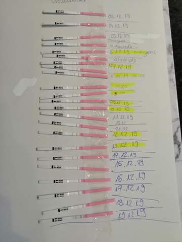Ovulationstests Kann Mir Jemand Helfen Schwangerschaft Kinderwunsch Schwangerschaft Ovulationstests Kann Mir Jemand Helfen Schwangerschaft Kinderwunsch Schwangerschaft
