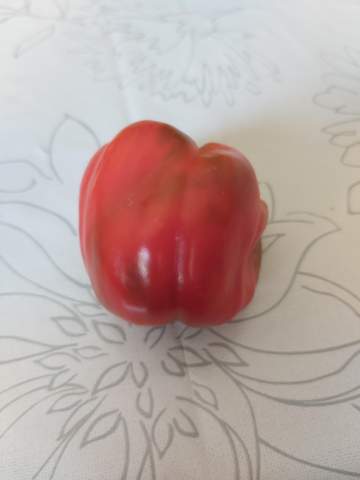 - (Garten, Pflanzenpflege, Gärtner)