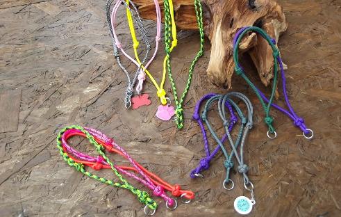 paracord? was denkt ihr was das ist? (Pferde)