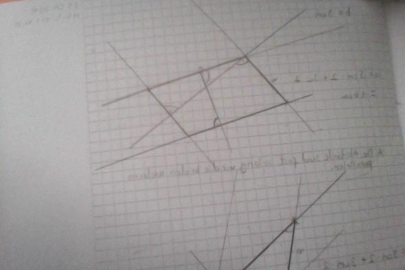 Parallelogramm zeichnen das kein Rechteck ist?! (Mathematik)