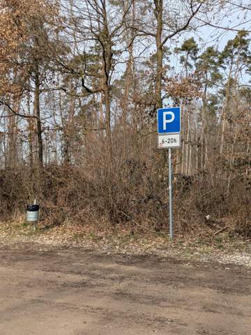 Bild zum Beitrag