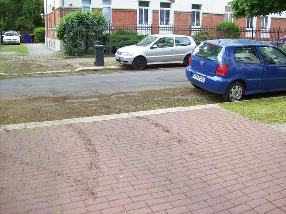 So parkt er richtig, im roten Pflasterbereich auch ? - (Parken vor Einfahrt)