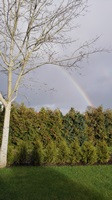 2. Foto - (Foto, Kunst)