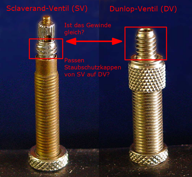 Passen Ventilkappen für SclaverandVentile (SV) auf Dunlop