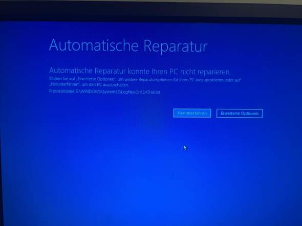 Bild zum Beitrag