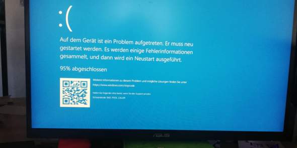 Bild zum Beitrag
