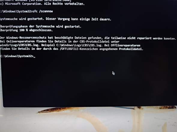 Bild zum Beitrag
