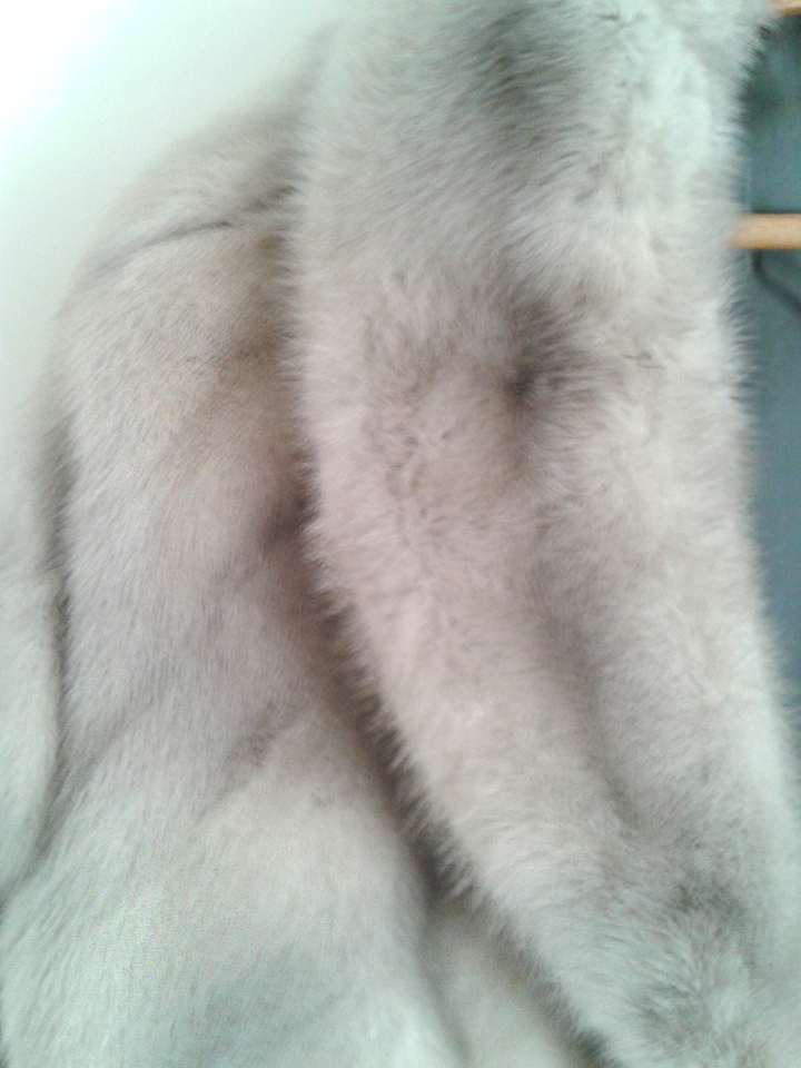 Pelz bestimmen (Kleidung)