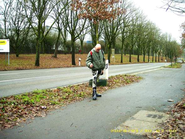 Bild zum Beitrag