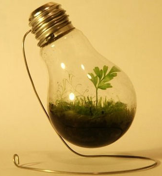 Garten wann was pflanzen Garten wann was pflanzen